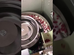 Máquina de embalaje de gránulos de tipo vertical multifunción para frijoles de chocolate nueces aperitivos