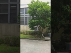 Máquina de embalaje Fábrica 1