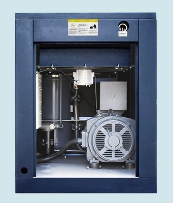 40HP 10 Bar Small Rotary Screw Air Compressor 30kw Portable