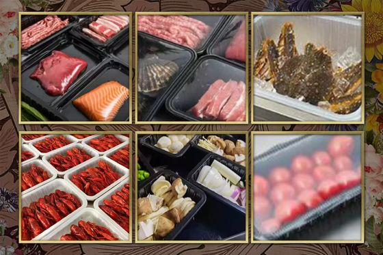 Fully Automatic Tray Sealer QF370THX-E with Food Grade Stainless Steel and 6061 Aluminum Mold for Modified Atmosphere Packaging